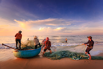 Fishermen pulling nets on beach at sunset