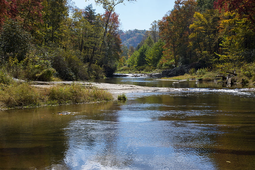 Serene River Flowing Through Autumn Forest Landscape