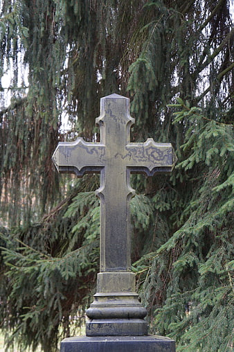 Weathered Stone Cross in Old Cemetery with Pine Trees