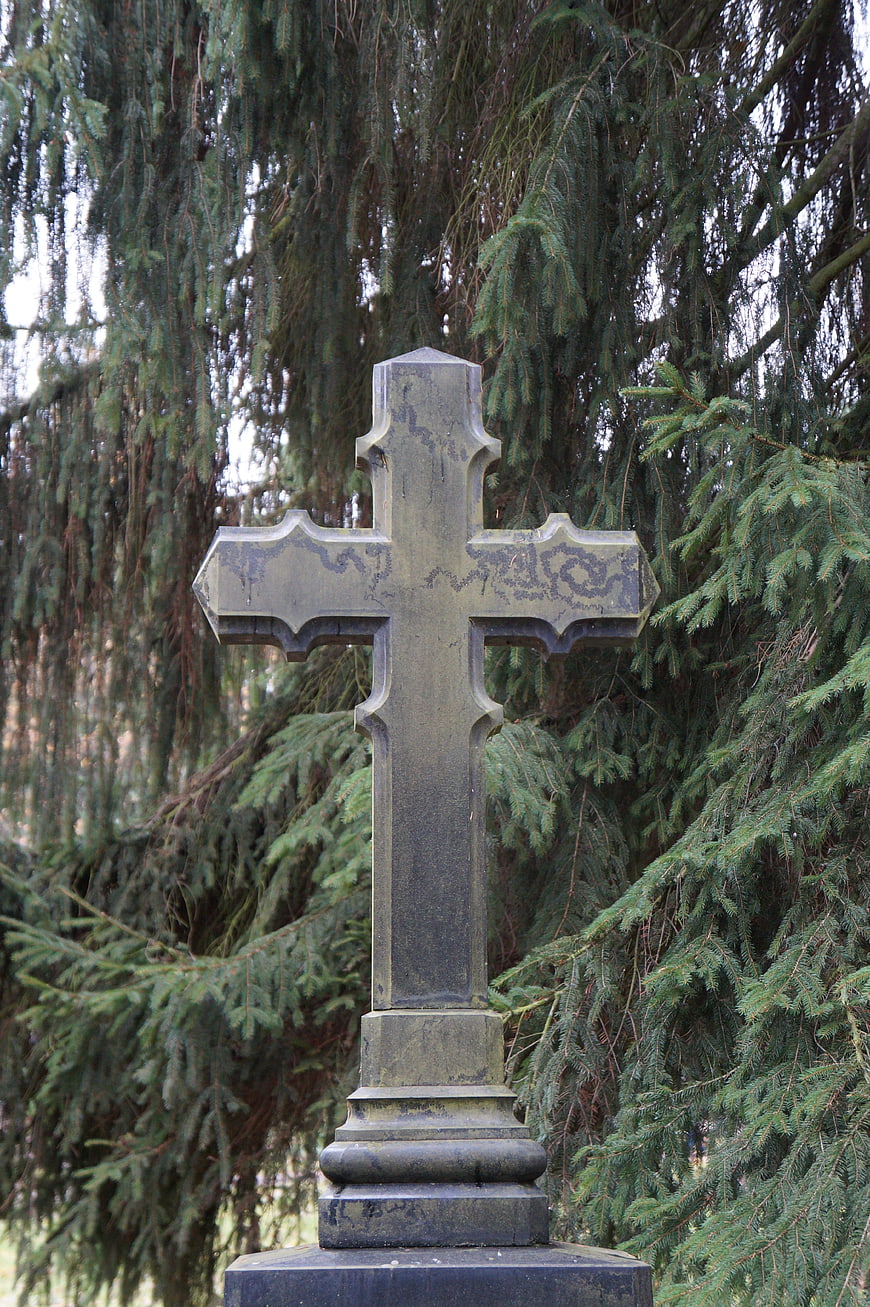 Weathered Stone Cross in Old Cemetery with Pine Trees