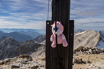 Pink stuffed toy on wooden post with mountain view