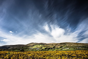 Dramatic Sky Over Rolling Hills with Yellow Gorse Flowers