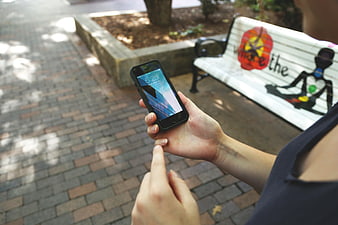 Person using smartphone on brick path near painted bench