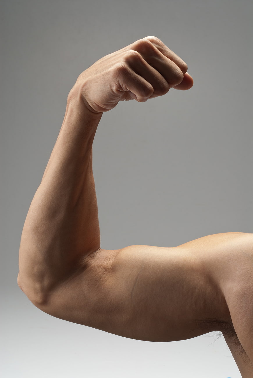 Muscular Male Arm Flexing Bicep Against Gray Background