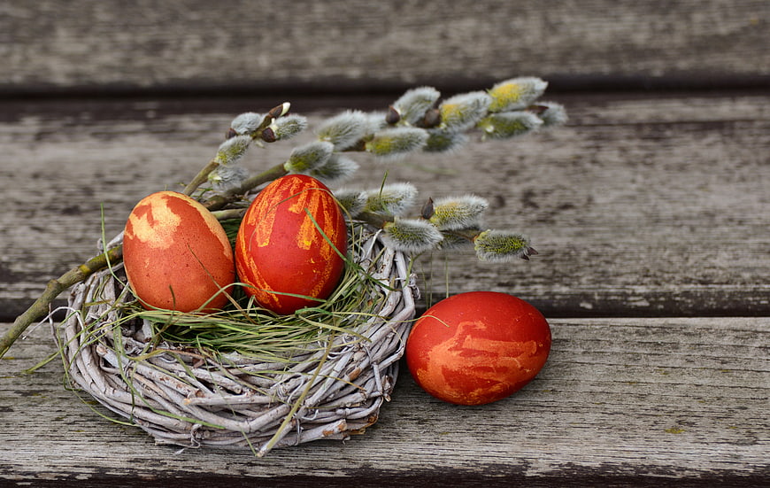 Traditional Easter Eggs in Nest with Pussy Willow