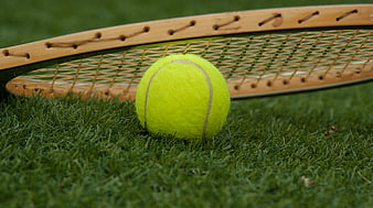 Vintage wooden tennis racket and yellow ball on green grass
