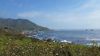 Scenic coastal landscape with wildflowers and blue ocean