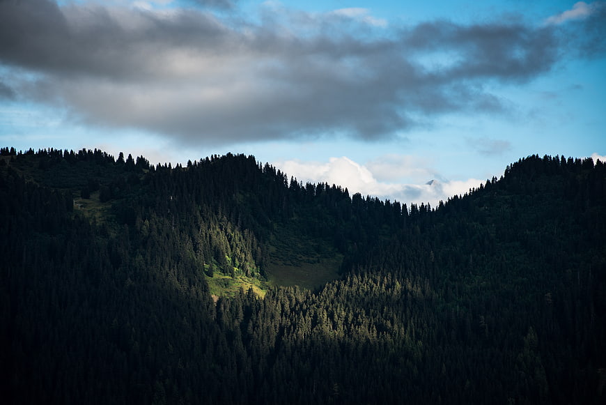 Dramatic Mountain Forest Landscape with Cloudy Sky