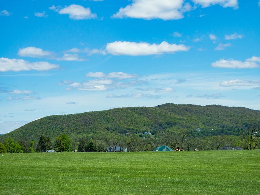Green Meadow with Forested Hills and Blue Sky