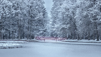 Serene Winter Forest with Red Bridge and Snowy Trees