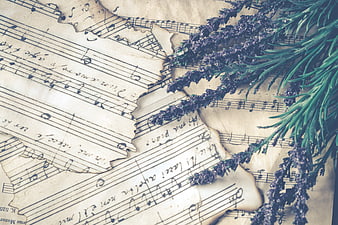 Dried lavender sprigs on vintage burnt sheet music background