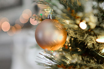 Close-up of Gold Christmas Ornament on Tree with Bokeh