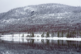 Serene Winter Lake with Snow-Covered Mountain Reflection