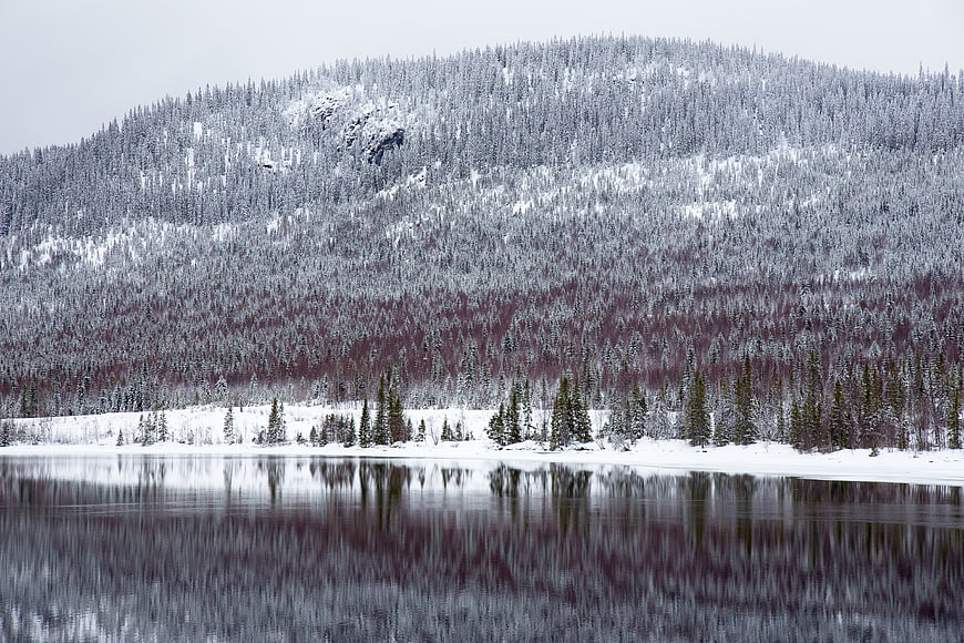 Serene Winter Lake with Snow-Covered Mountain Reflection