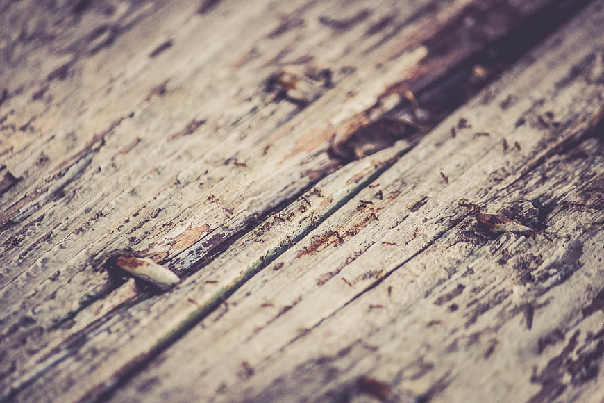 Close-up of weathered rustic wood texture with nails
