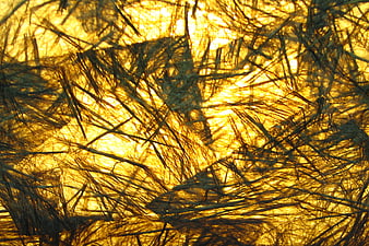 Abstract yellow particle board texture background