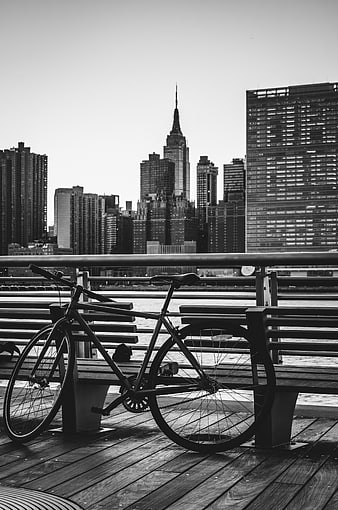 Black and white bicycle on bench with city skyline background