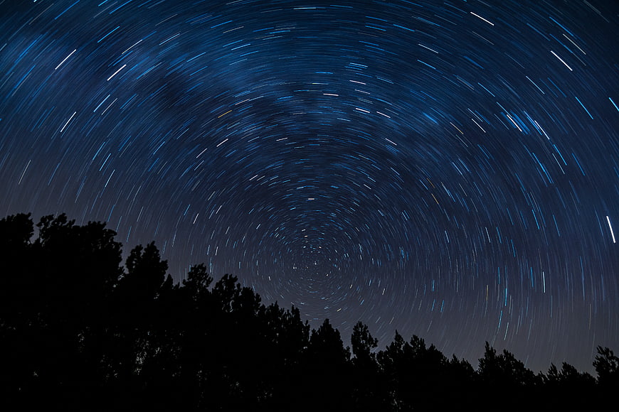 Star Trails Night Sky with Tree Silhouette