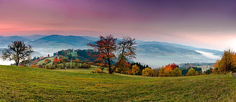 Autumn Mountain Landscape With Misty Valley And Colorful Trees At Dawn