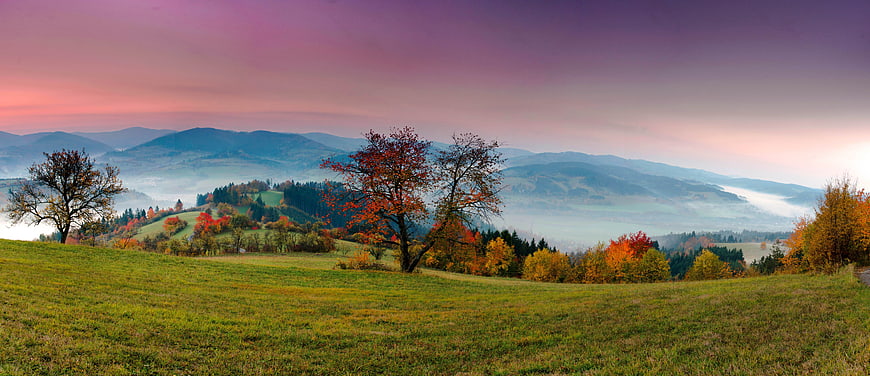 Autumn Mountain Landscape With Misty Valley And Colorful Trees At Dawn