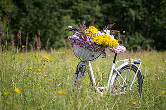 White bicycle with floral basket in a sunny summer meadow
