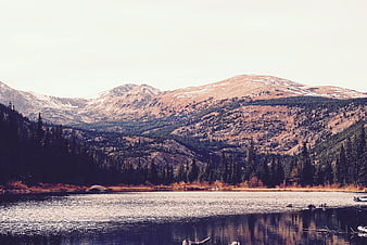 Serene Mountain Lake Landscape with Forest and Snow-Capped Peaks