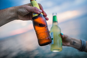 Friends toasting with beer bottles at sunset by the ocean