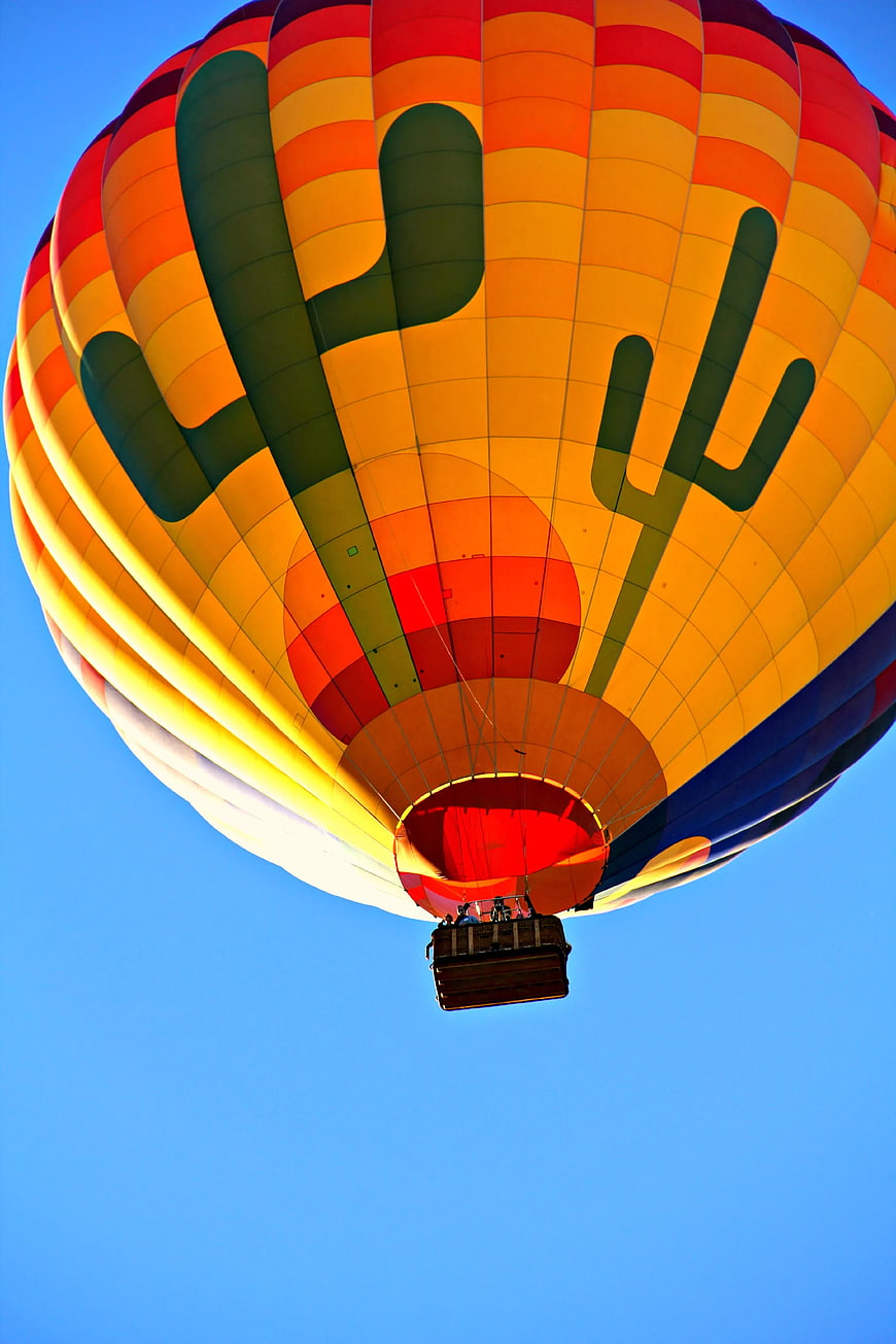 Colorful Hot Air Balloon with Cactus Design in Blue Sky