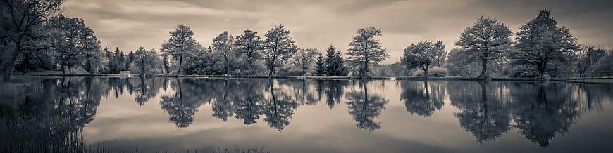 Panoramic Lake Reflection with Trees in Sepia Tone