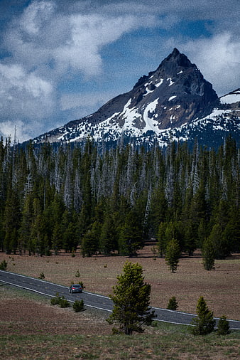 Car driving on mountain road with snowy peak and pine forest