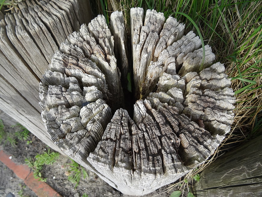 Close-up of weathered wooden fence post with cracked texture