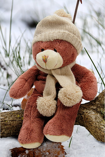 Cute teddy bear wearing winter hat and scarf sitting on snowy branch