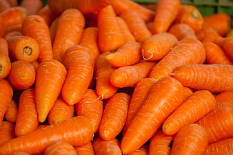 Fresh Orange Carrots Piled in a Market Basket