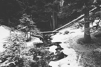 Black and white winter forest stream with snow and wooden bridge