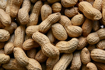 Close-up of raw peanuts in shells, natural texture and beige tones