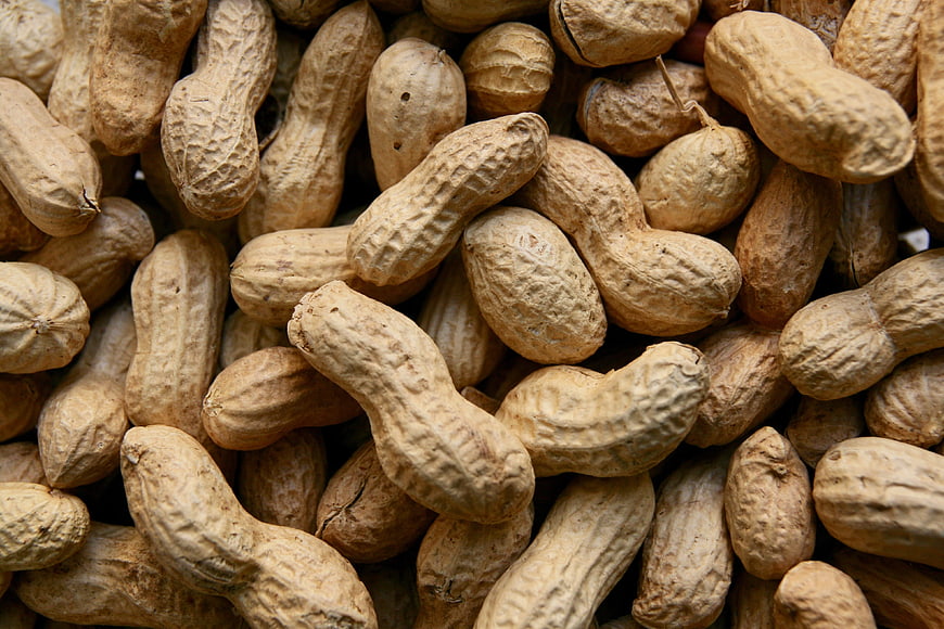 Close-up of raw peanuts in shells, natural texture and beige tones