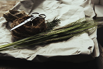 Rustic Scissors, Twine, and Wheat Stalks on Crumpled Paper
