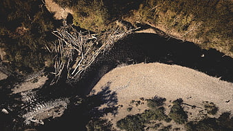 Aerial drone view of river bend with fallen trees and sandbar