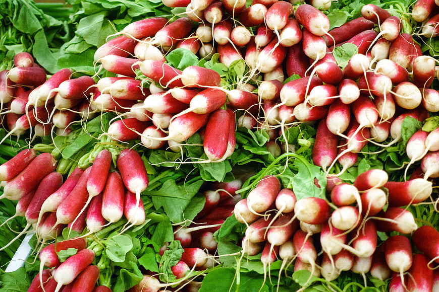 Fresh red radishes with green leaves at farmers market
