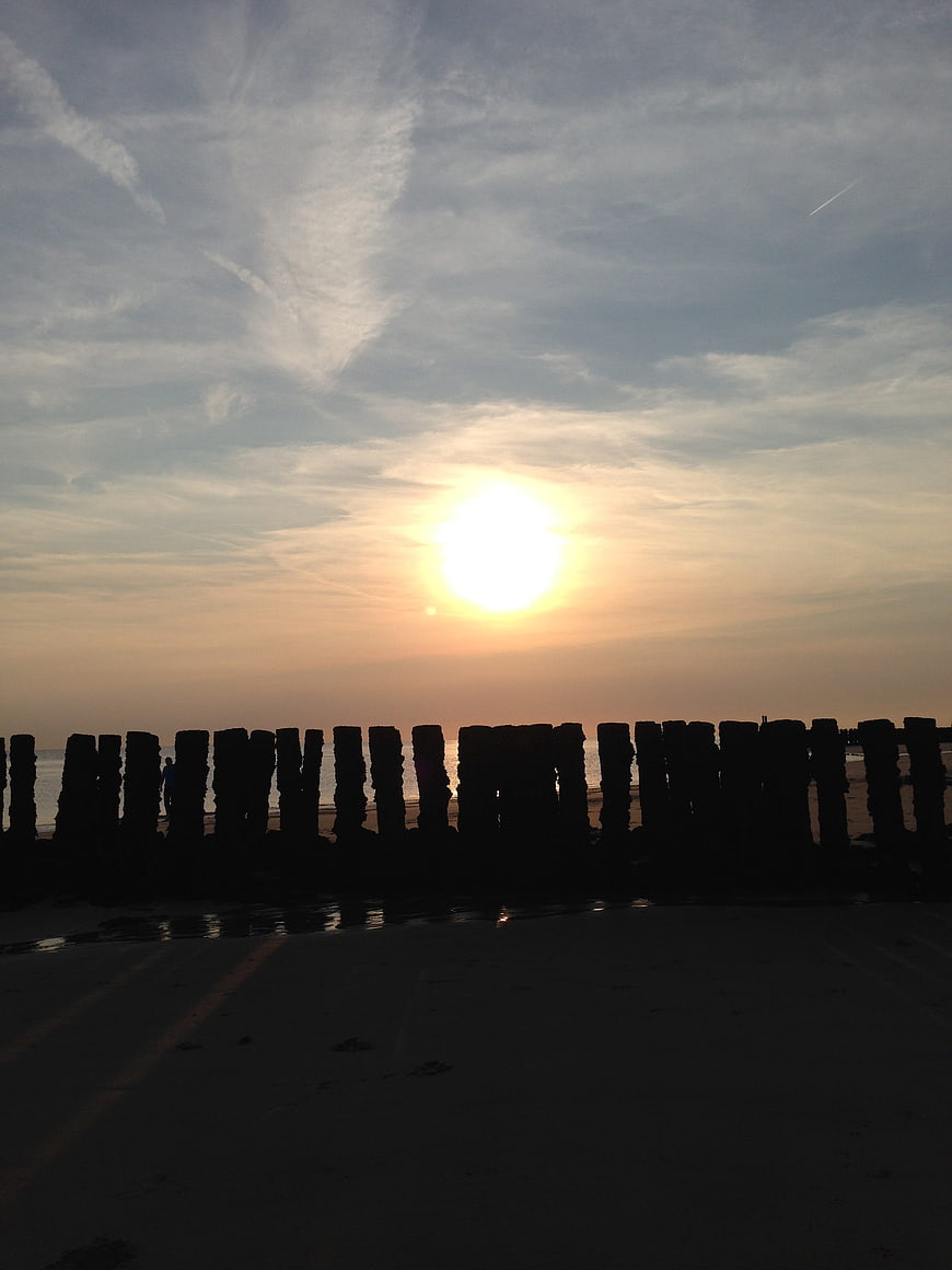 Silhouetted wooden groynes on beach at sunset