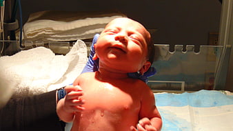 Newborn Baby Being Held By Nurse In Hospital Ward
