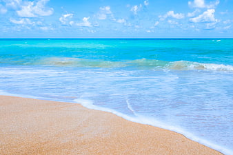 Tropical Beach Landscape With Turquoise Ocean And Sandy Shore