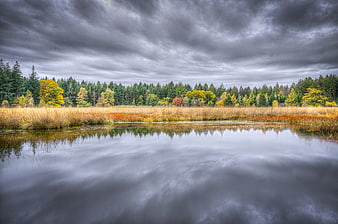 Serene autumn landscape with forest reflection in calm lake