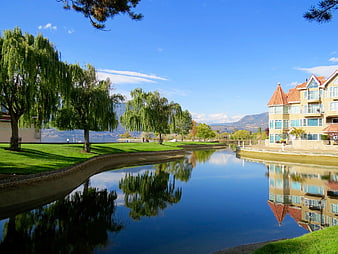 Serene Canal Reflections with Weeping Willows and Apartment Building