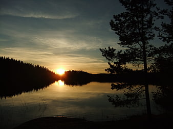 Serene Sunset Over Lake with Silhouetted Pine Trees