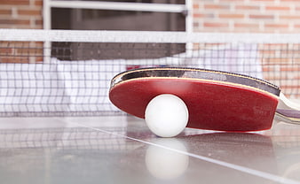 Red Table Tennis Paddle and White Ball on Court