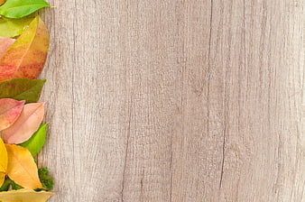Autumn Leaves Border on Wooden Background