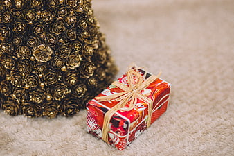 Gold Pine Cone Christmas Tree and Wrapped Gift on Rug