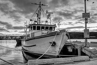 Black and white fishing boat docked at harbor
