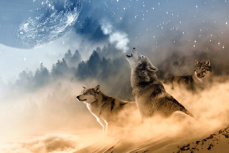 Three wolves howling at a giant moon in a mystical forest